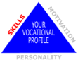 Vocational Profile - Skills