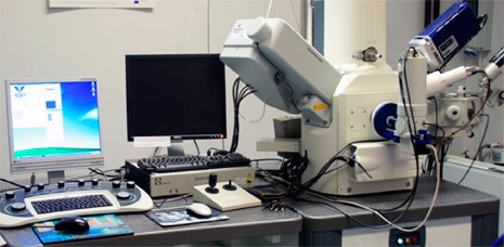 Scanning Electron Microscopy 