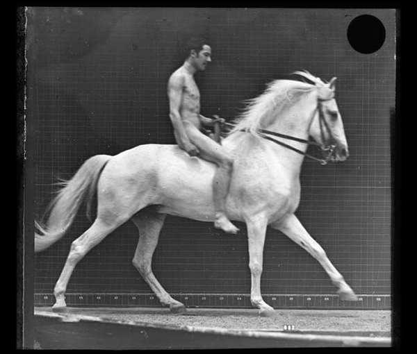 'Horse with nude rider; canter' © Kingston Museum and Heritage Service, 2010